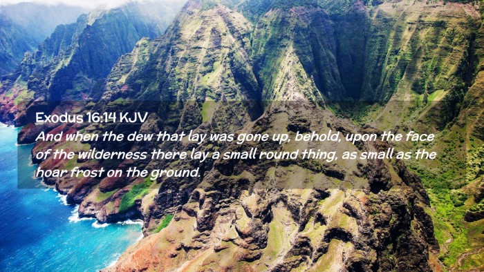 Picture 02 - Exodus 16:14 KJV Desktop Wallpaper - And when the dew that lay was gone up, behold, - Desktop Bible Verse Wallpaper