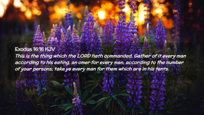Picture 02 - Exodus 16:16 KJV Desktop Wallpaper - This is the thing which the LORD hath commanded, - Desktop Bible Verse Wallpaper