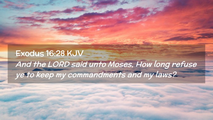 Picture 02 - Exodus 16:28 KJV Desktop Wallpaper - And the LORD said unto Moses, How long refuse ye - Desktop Bible Verse Wallpaper