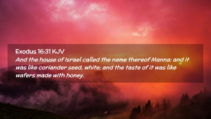 Picture 02 - Exodus 16:31 KJV Desktop Wallpaper - And the house of Israel called the name thereof - Desktop Bible Verse Wallpaper