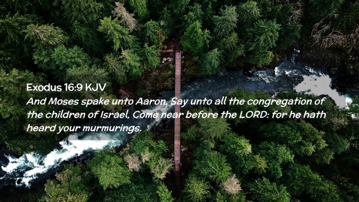 Picture 02 - Exodus 16:9 KJV Desktop Wallpaper - And Moses spake unto Aaron, Say unto all the - Desktop Bible Verse Wallpaper