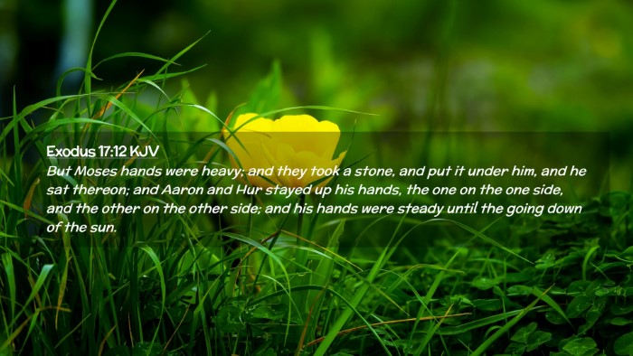 Picture 02 - Exodus 17:12 KJV Desktop Wallpaper - But Moses hands were heavy; and they took a - Desktop Bible Verse Wallpaper
