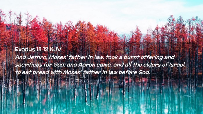 Picture 02 - Exodus 18:12 KJV Desktop Wallpaper - And Jethro, Moses' father in law, took a burnt - Desktop Bible Verse Wallpaper