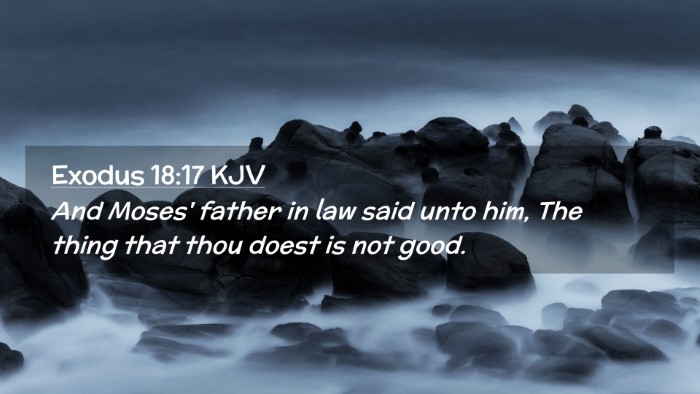 Picture 02 - Exodus 18:17 KJV Desktop Wallpaper - And Moses' father in law said unto him, The thing - Desktop Bible Verse Wallpaper