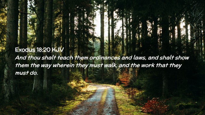 Picture 02 - Exodus 18:20 KJV Desktop Wallpaper - And thou shalt teach them ordinances and laws, - Desktop Bible Verse Wallpaper