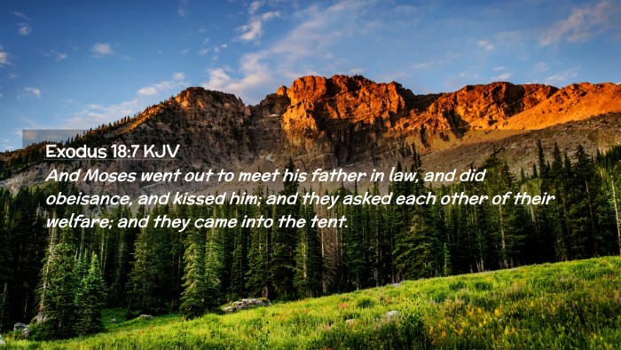 Picture 02 - Exodus 18:7 KJV Desktop Wallpaper - And Moses went out to meet his father in law, and - Desktop Bible Verse Wallpaper
