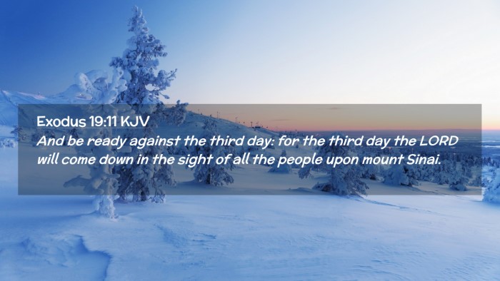 Picture 02 - Exodus 19:11 KJV Desktop Wallpaper - And be ready against the third day: for the third - Desktop Bible Verse Wallpaper