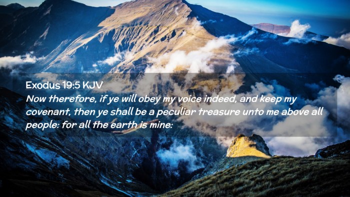 Picture 02 - Exodus 19:5 KJV Desktop Wallpaper - Now therefore, if ye will obey my voice indeed, - Desktop Bible Verse Wallpaper