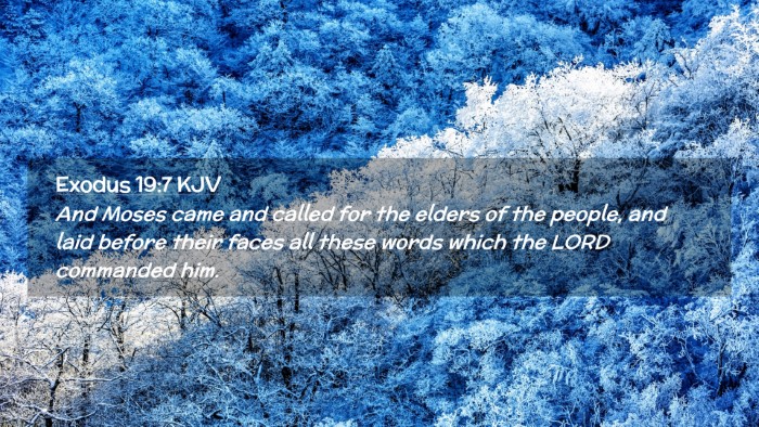 Picture 02 - Exodus 19:7 KJV Desktop Wallpaper - And Moses came and called for the elders of the - Desktop Bible Verse Wallpaper