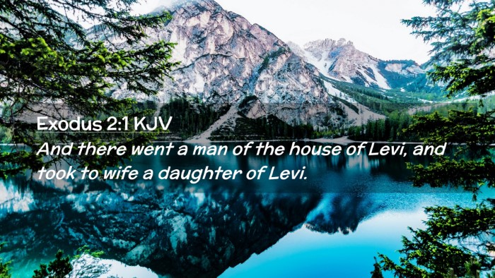 Picture 02 - Exodus 2:1 KJV Desktop Wallpaper - And there went a man of the house of Levi, and - Desktop Bible Verse Wallpaper