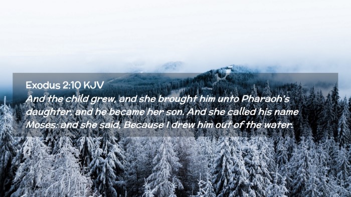 Picture 02 - Exodus 2:10 KJV Desktop Wallpaper - And the child grew, and she brought him unto - Desktop Bible Verse Wallpaper