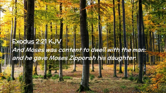 Picture 02 - Exodus 2:21 KJV Desktop Wallpaper - And Moses was content to dwell with the man: and - Desktop Bible Verse Wallpaper