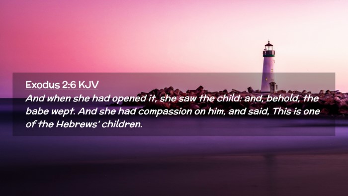 Picture 02 - Exodus 2:6 KJV Desktop Wallpaper - And when she had opened it, she saw the child: - Desktop Bible Verse Wallpaper