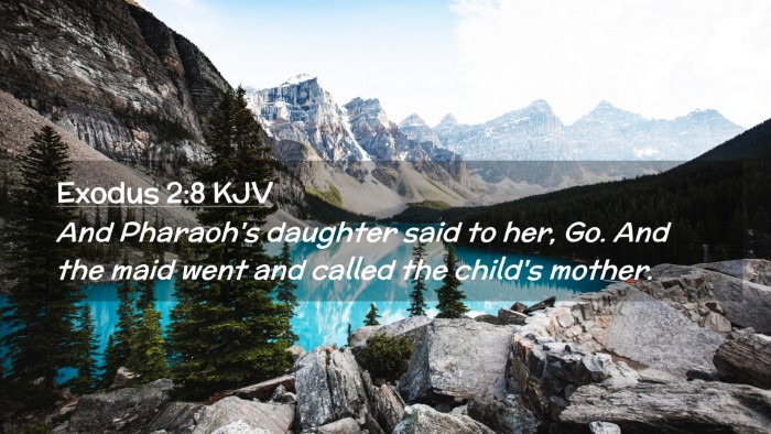 Picture 02 - Exodus 2:8 KJV Desktop Wallpaper - And Pharaoh's daughter said to her, Go. And the - Desktop Bible Verse Wallpaper
