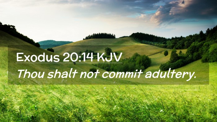 Picture 02 - Exodus 20:14 KJV Desktop Wallpaper - Thou shalt not commit - Desktop Bible Verse Wallpaper