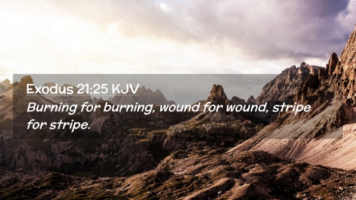 Picture 02 - Exodus 21:25 KJV Desktop Wallpaper - Burning for burning, wound for wound, stripe for - Desktop Bible Verse Wallpaper
