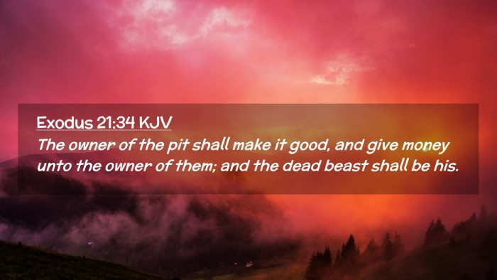 Picture 02 - Exodus 21:34 KJV Desktop Wallpaper - The owner of the pit shall make it good, and give - Desktop Bible Verse Wallpaper
