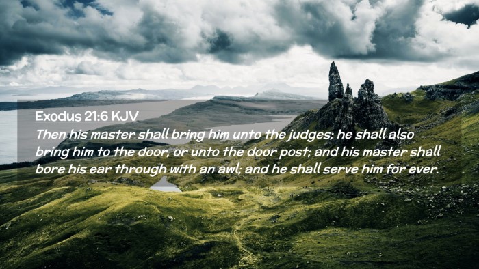 Picture 02 - Exodus 21:6 KJV Desktop Wallpaper - Then his master shall bring him unto the judges; - Desktop Bible Verse Wallpaper