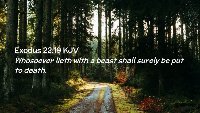 Picture 02 - Exodus 22:19 KJV Desktop Wallpaper - Whosoever lieth with a beast shall surely be put - Desktop Bible Verse Wallpaper