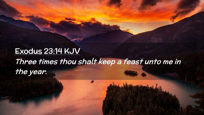 Picture 02 - Exodus 23:14 KJV Desktop Wallpaper - Three times thou shalt keep a feast unto me in - Desktop Bible Verse Wallpaper