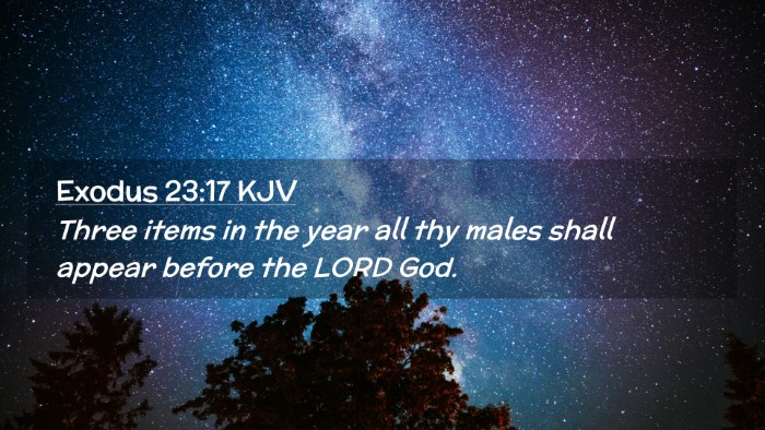 Picture 02 - Exodus 23:17 KJV Desktop Wallpaper - Three items in the year all thy males shall - Desktop Bible Verse Wallpaper