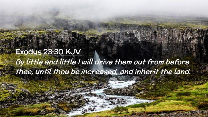 Picture 02 - Exodus 23:30 KJV Desktop Wallpaper - By little and little I will drive them out from - Desktop Bible Verse Wallpaper