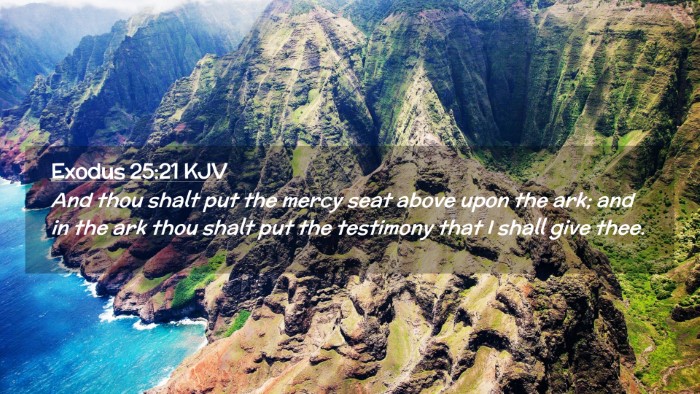 Picture 02 - Exodus 25:21 KJV Desktop Wallpaper - And thou shalt put the mercy seat above upon the - Desktop Bible Verse Wallpaper