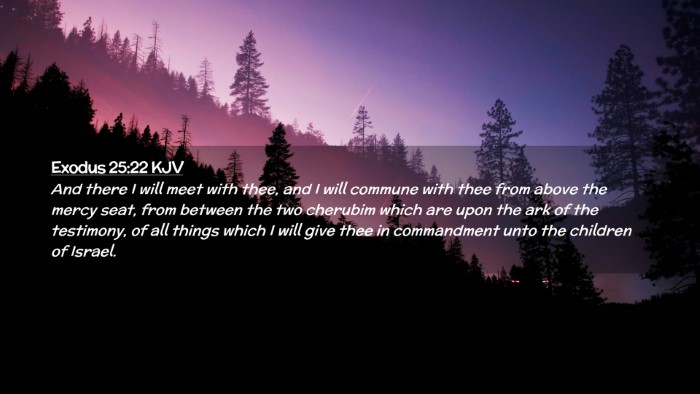 Picture 02 - Exodus 25:22 KJV Desktop Wallpaper - And there I will meet with thee, and I will - Desktop Bible Verse Wallpaper