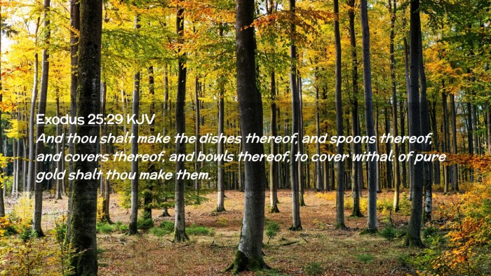 Picture 02 - Exodus 25:29 KJV Desktop Wallpaper - And thou shalt make the dishes thereof, and - Desktop Bible Verse Wallpaper