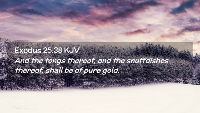 Picture 02 - Exodus 25:38 KJV Desktop Wallpaper - And the tongs thereof, and the snuffdishes - Desktop Bible Verse Wallpaper