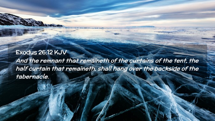 Picture 02 - Exodus 26:12 KJV Desktop Wallpaper - And the remnant that remaineth of the curtains of - Desktop Bible Verse Wallpaper