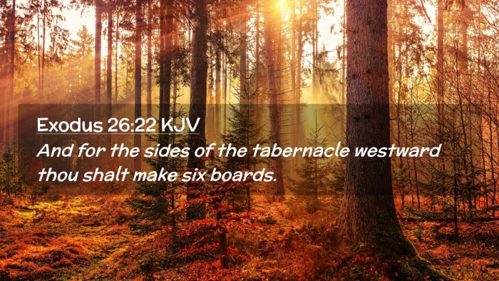 Picture 02 - Exodus 26:22 KJV Desktop Wallpaper - And for the sides of the tabernacle westward thou - Desktop Bible Verse Wallpaper