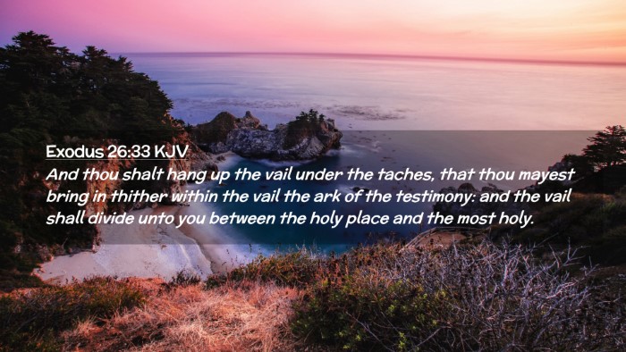 Picture 02 - Exodus 26:33 KJV Desktop Wallpaper - And thou shalt hang up the vail under the taches, - Desktop Bible Verse Wallpaper