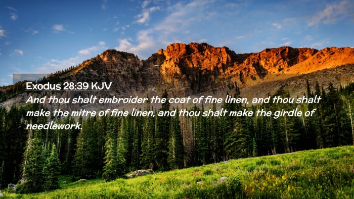 Picture 02 - Exodus 28:39 KJV Desktop Wallpaper - And thou shalt embroider the coat of fine linen, - Desktop Bible Verse Wallpaper