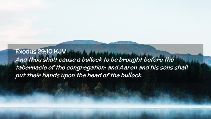 Picture 02 - Exodus 29:10 KJV Desktop Wallpaper - And thou shalt cause a bullock to be brought - Desktop Bible Verse Wallpaper