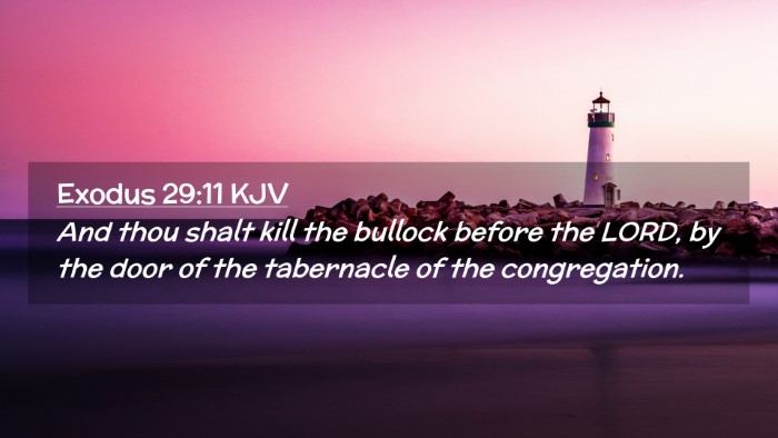 Picture 02 - Exodus 29:11 KJV Desktop Wallpaper - And thou shalt kill the bullock before the LORD, - Desktop Bible Verse Wallpaper