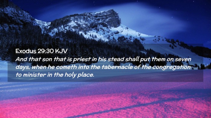 Picture 02 - Exodus 29:30 KJV Desktop Wallpaper - And that son that is priest in his stead shall - Desktop Bible Verse Wallpaper