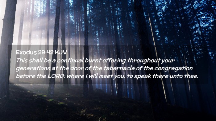 Picture 02 - Exodus 29:42 KJV Desktop Wallpaper - This shall be a continual burnt offering - Desktop Bible Verse Wallpaper