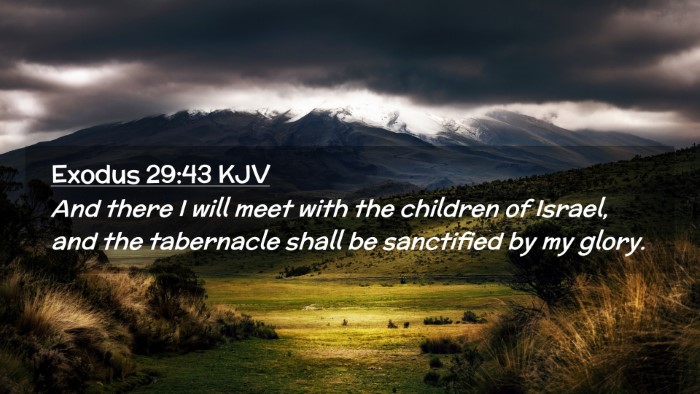 Picture 02 - Exodus 29:43 KJV Desktop Wallpaper - And there I will meet with the children of - Desktop Bible Verse Wallpaper