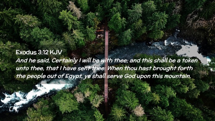 Picture 02 - Exodus 3:12 KJV Desktop Wallpaper - And he said, Certainly I will be with thee; and - Desktop Bible Verse Wallpaper