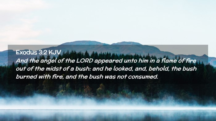 Picture 02 - Exodus 3:2 KJV Desktop Wallpaper - And the angel of the LORD appeared unto him in a - Desktop Bible Verse Wallpaper