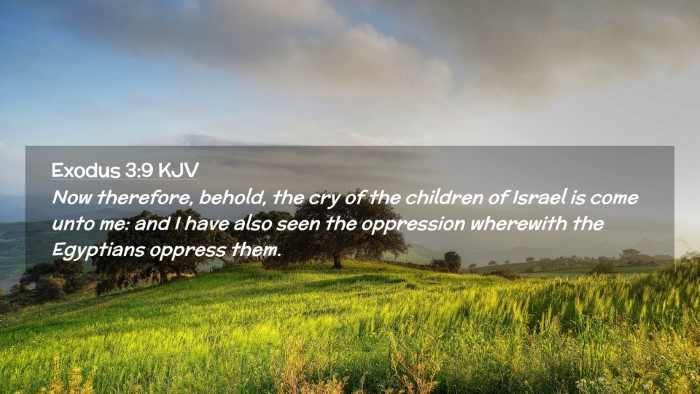 Picture 02 - Exodus 3:9 KJV Desktop Wallpaper - Now therefore, behold, the cry of the children of - Desktop Bible Verse Wallpaper