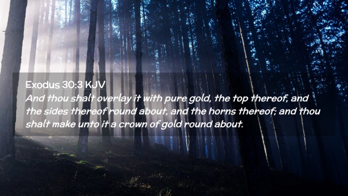 Picture 02 - Exodus 30:3 KJV Desktop Wallpaper - And thou shalt overlay it with pure gold, the top - Desktop Bible Verse Wallpaper