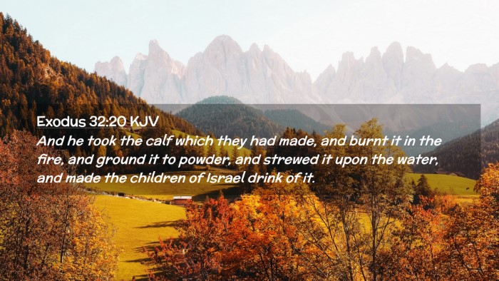 Picture 02 - Exodus 32:20 KJV Desktop Wallpaper - And he took the calf which they had made, and - Desktop Bible Verse Wallpaper