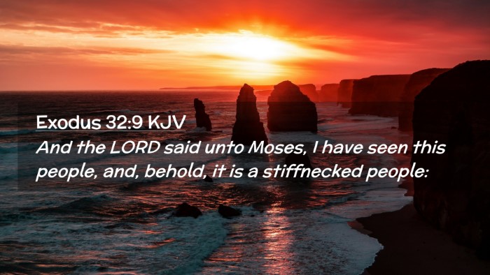 Picture 02 - Exodus 32:9 KJV Desktop Wallpaper - And the LORD said unto Moses, I have seen this - Desktop Bible Verse Wallpaper