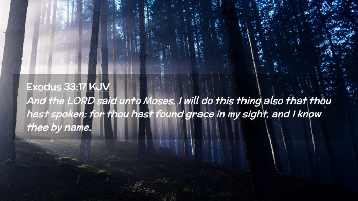 Picture 02 - Exodus 33:17 KJV Desktop Wallpaper - And the LORD said unto Moses, I will do this - Desktop Bible Verse Wallpaper