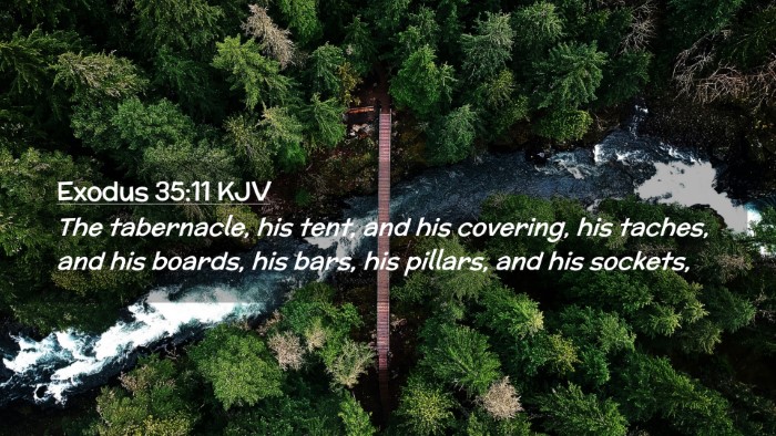 Picture 02 - Exodus 35:11 KJV Desktop Wallpaper - The tabernacle, his tent, and his covering, his - Desktop Bible Verse Wallpaper