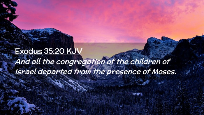 Picture 02 - Exodus 35:20 KJV Desktop Wallpaper - And all the congregation of the children of - Desktop Bible Verse Wallpaper