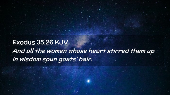 Picture 02 - Exodus 35:26 KJV Desktop Wallpaper - And all the women whose heart stirred them up in - Desktop Bible Verse Wallpaper