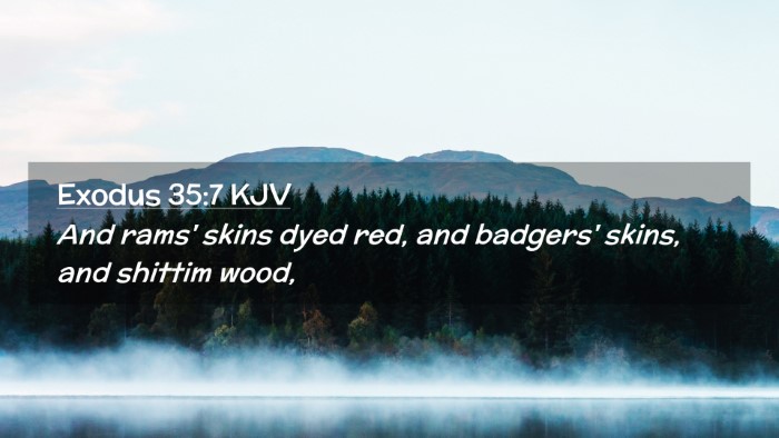 Picture 02 - Exodus 35:7 KJV Desktop Wallpaper - And rams' skins dyed red, and badgers' skins, and - Desktop Bible Verse Wallpaper